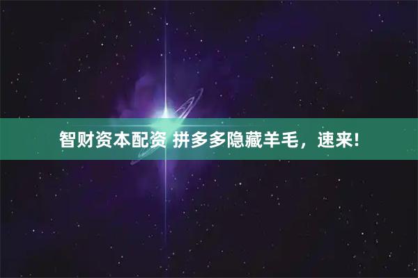 智财资本配资 拼多多隐藏羊毛，速来!