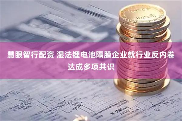 慧眼智行配资 湿法锂电池隔膜企业就行业反内卷达成多项共识