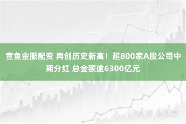 宣鱼金服配资 再创历史新高！超800家A股公司中期分红 总金额逾6300亿元