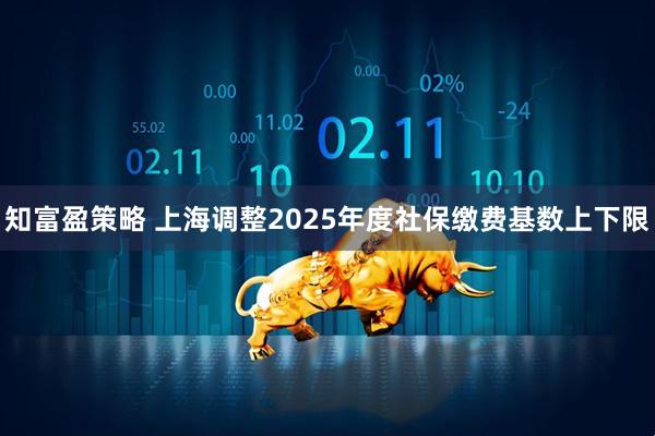 知富盈策略 上海调整2025年度社保缴费基数上下限